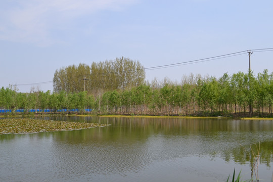 李公河湿地公园