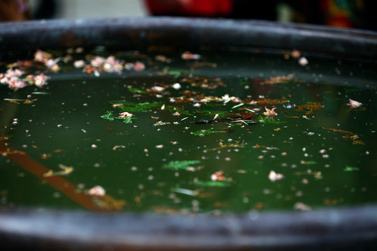 水缸