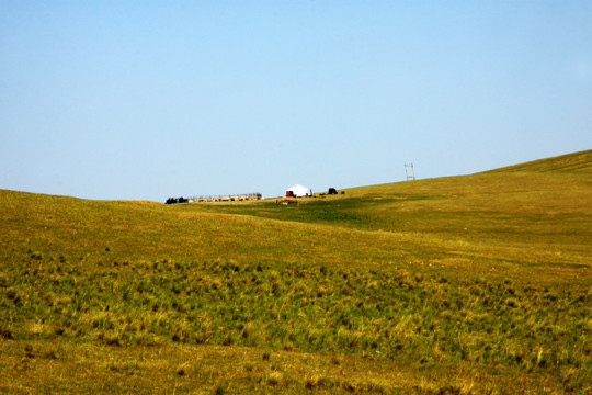春季草原蒙古包