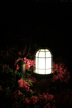 园林灯 庭院灯