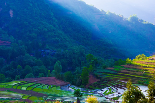 梯田 山村