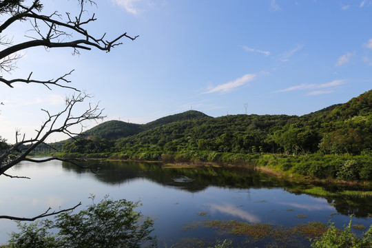 湖水风景