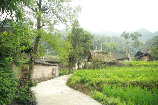 盐井水泥路