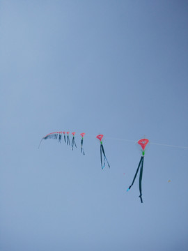 国际风筝节 风筝