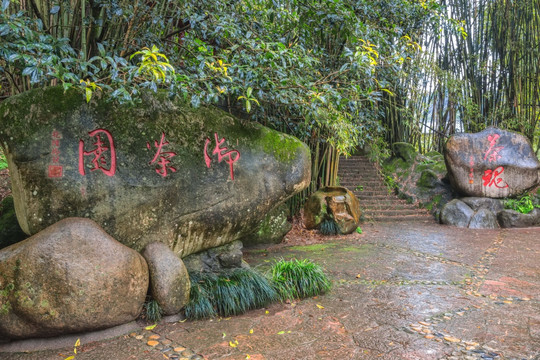 武夷山御茶园