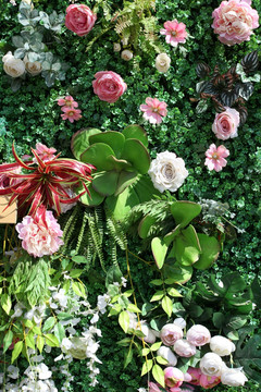 绿色植物墙 花墙