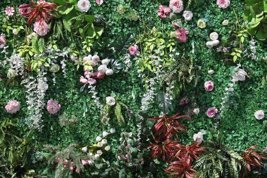 绿色植物墙