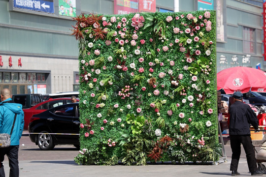 绿色植物墙 花墙