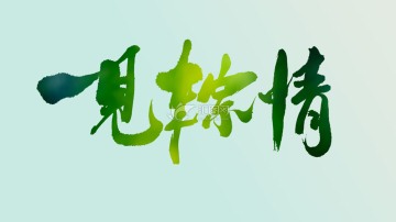 一见粽情