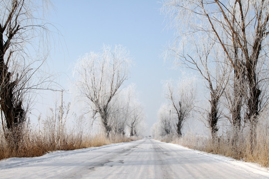 乡村公路 雾凇 美景