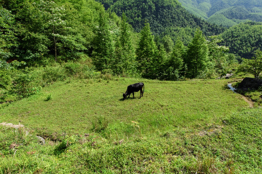 江西武功山