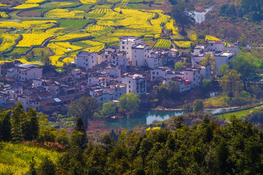 江岭 婺源