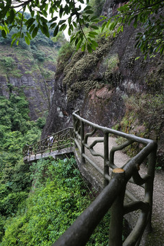 悬崖小路