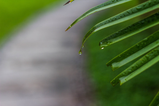 雨停