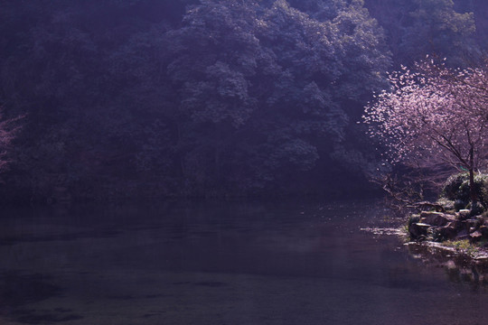 桃花