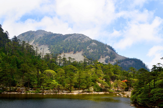四川螺髻山黑龙潭风光