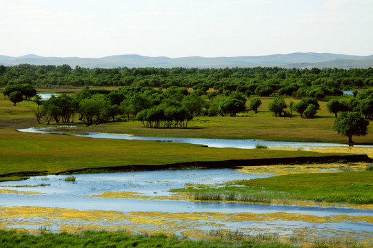 春季根河湿地