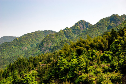 乡村 绿色 天空 户外 风景