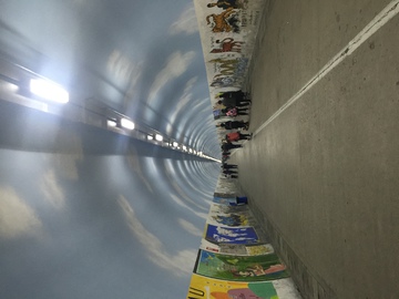 芙蓉隧道 