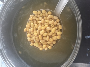 做豆豉 