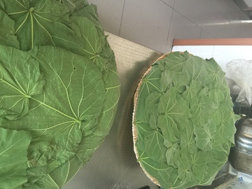 做豆豉 