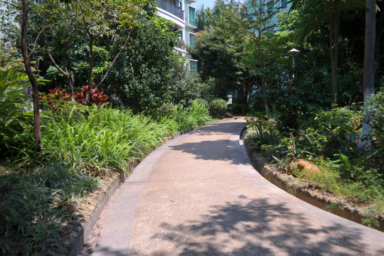 叠翠苑绿化石米散步小路