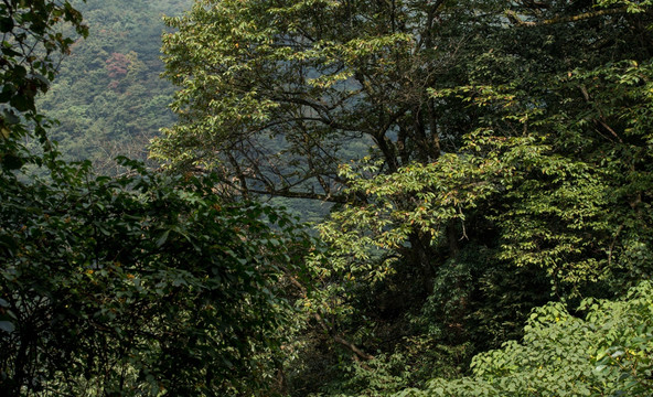 坪坝营 高山