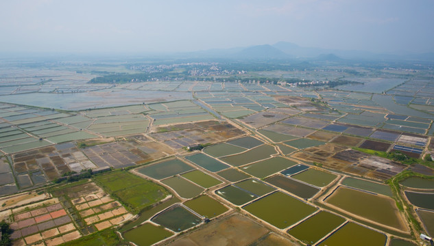 沙扒 盐场 海仔湖