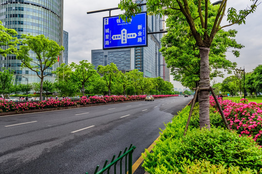 城市道路 绿化