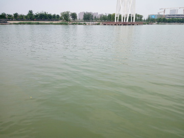 湖面