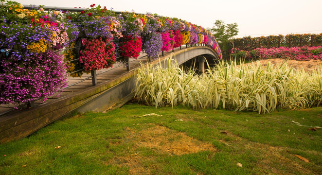 花 花桥 木桥 公园