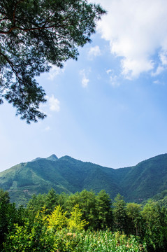 山景风光