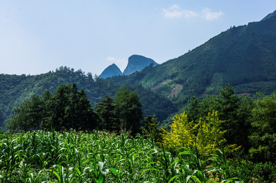 山景风光