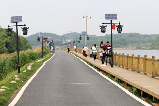 山里的景观路