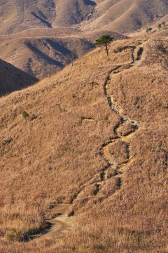 武功山