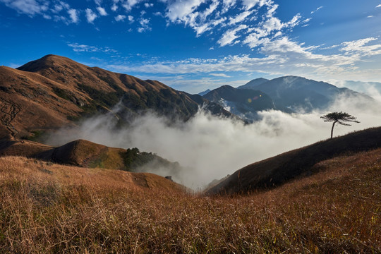 武功山