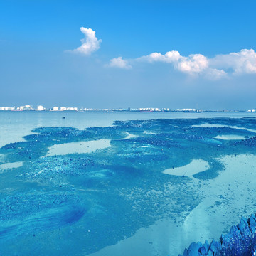 蓝天沼泽湿地