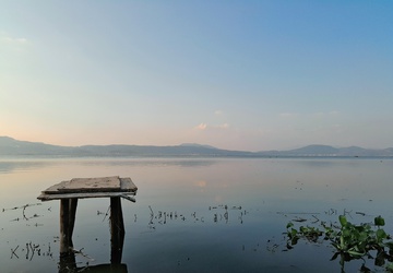 杞麓湖