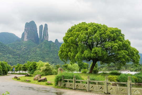 江郎山