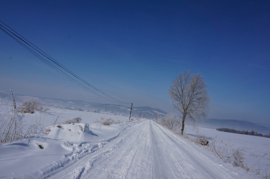 美丽的东北雪