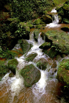 山溪 溪流