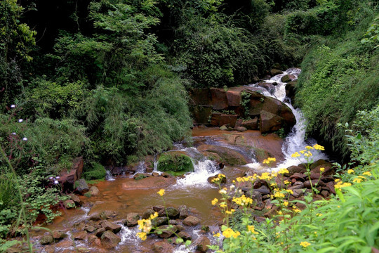 山溪 溪流