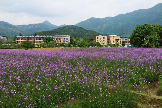 闽侯孔源村