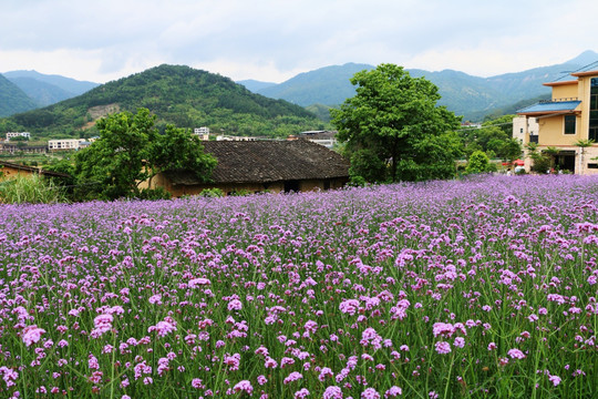 闽侯孔源村