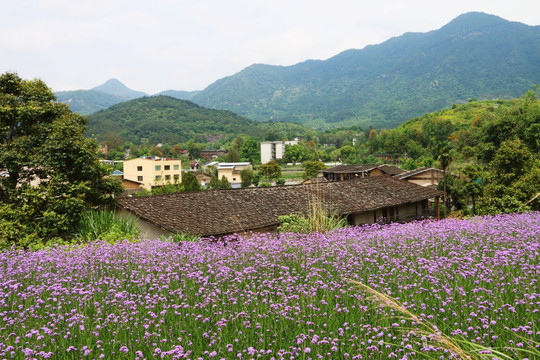 闽侯孔源村