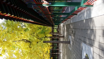北京中山公园 长廊
