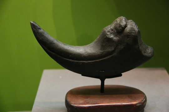 白垩纪晚期暴龙爪骨模型