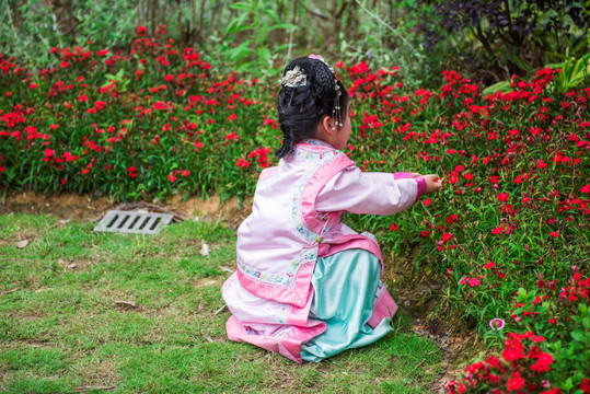 小女孩采花 玩