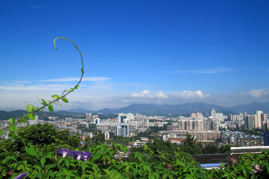 榕城全景