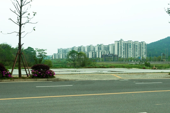 马路风景